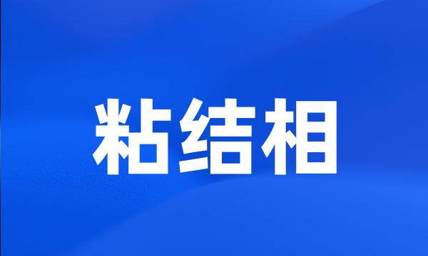 粘结相