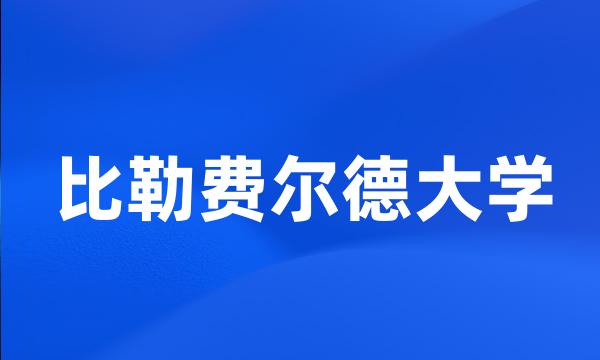 比勒费尔德大学