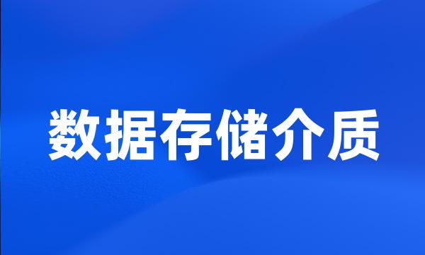 数据存储介质