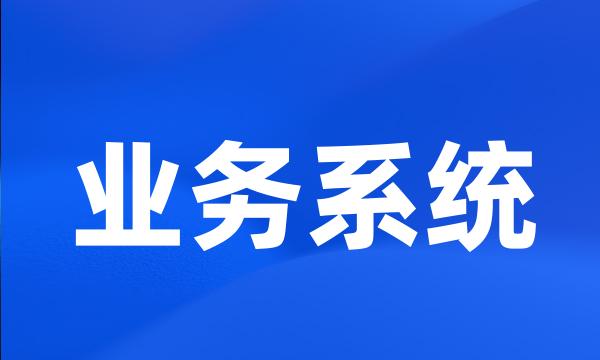 业务系统