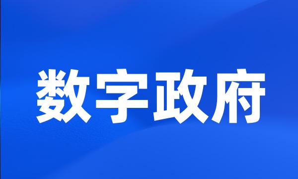 数字政府